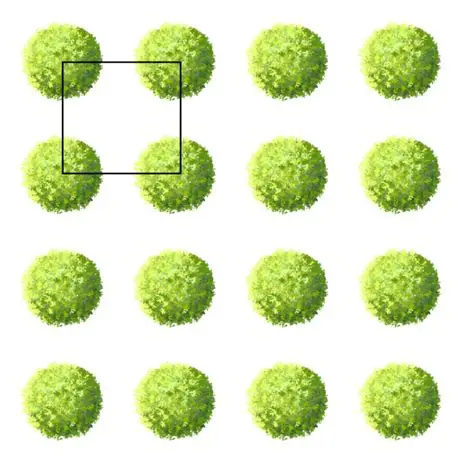 Traditional square mesh layout